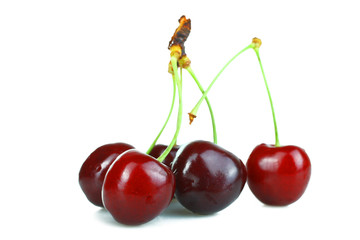 Ripe cherry