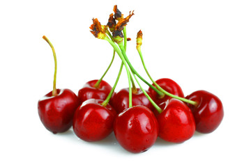 Ripe cherry