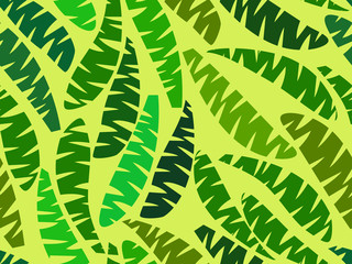 Seamless palm leaves. Tropical jungle. Summer background. Vector illustration