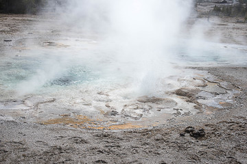 Spasmodic Geyser