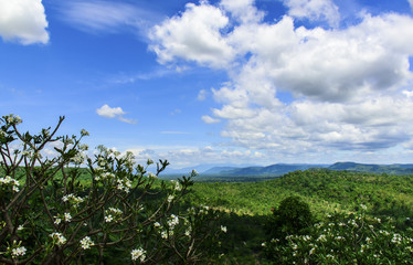 Blue sky with white clouds. Top view from mountain see the forest below and Cloudy sky background.