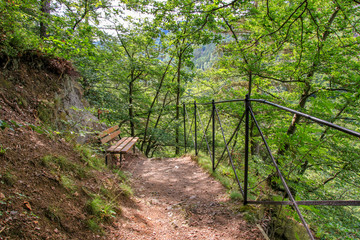 Nationalpark Harz, Ilsenburg, Heinrich-Heine-Wanderweg