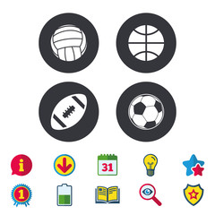 Sport balls icons. Volleyball, Basketball, Soccer and American football signs. Team sport games. Calendar, Information and Download signs. Stars, Award and Book icons. Light bulb, Shield and Search