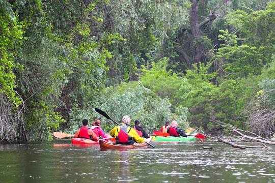 Group of people (friends) kayaking in wild river and lake on biosphere reserve in spring on cloudy spring day