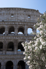 rome