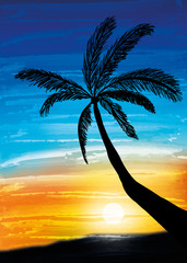 Obraz premium Palm on the sunset