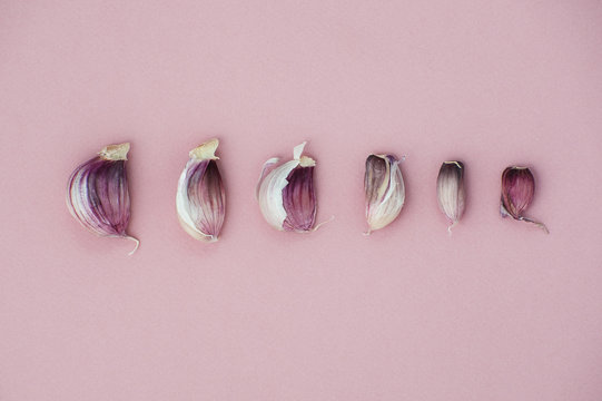 Garlic cloves lined in size on a light pink background..
