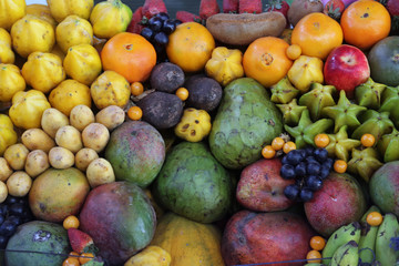 Auswahl an Früchten