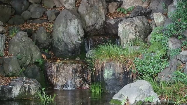 岩間からしみ出る湧き水の風景