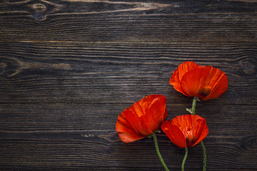 Obraz premium Czerwone maki kwiaty na ciemnym tle drewna.