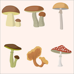 Mushroom forest set