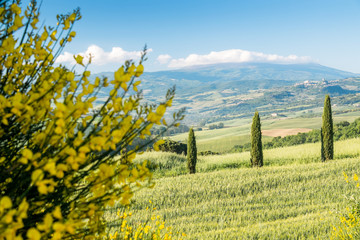 Tuscany panoramic landscape