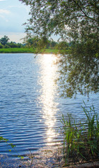 A stream in the mountains flows along the rocks and a stormy waterfall