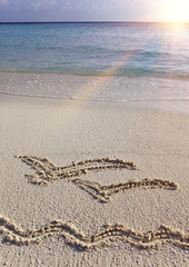 picture on sand two flying seagulls