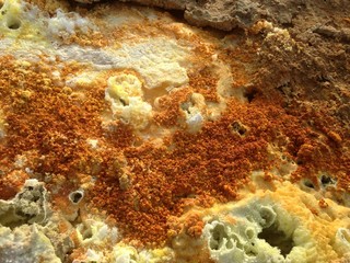 Concrétions, Dallol, Ethiopie