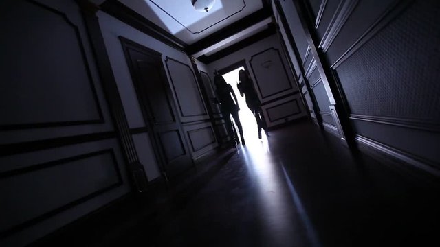 Agent Woman in Black Leather Suit at the door and in this shadow going from door, super heroine in action, in black, leather suits, gun, pistol, inside, Door, open, spies, woman, indoors,