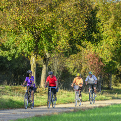 Fototapeta premium ältere Leute machen Radtour in der herbstlichen Natur