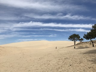 Dune du Pila Arcachon France - 163751292
