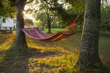 A hammock in the apple orchard in the summer evening