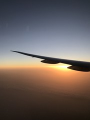 Sunrise in Abu Dhabi from airplane - 163751602