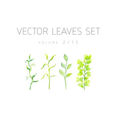 Bright watercolor floral vector set