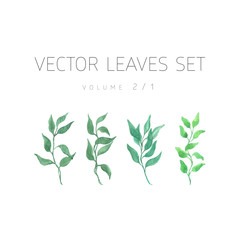 Bright watercolor floral vector set