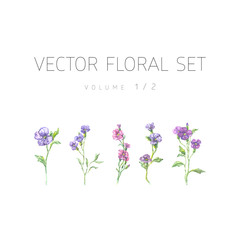 Bright watercolor floral vector set