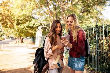 College students using mobile phone outdoors on road