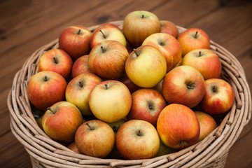 A harvest of apples in a wicker basket