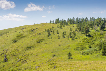Yellow-green hill and sky with clouds. Fortst. Wild grasses.