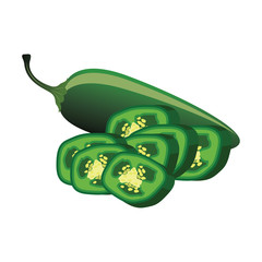 slice of raw jalapenos. vector illustration