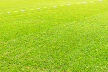 Grüner Rasen - Fußballplatz
