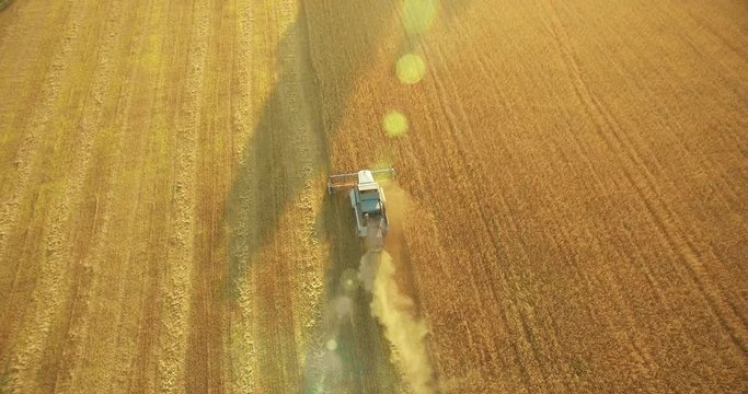UHD 4K aerial view. Low flight over combine harvester gathers the wheat at yellow rural field. Sunny summer day. Sun rays on horizon. Horizontal movement.