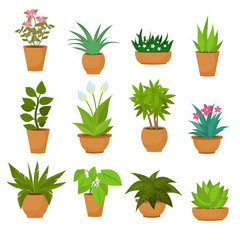 Indoor and outdoor landscape garden potted plants isolated on white. Vector set
