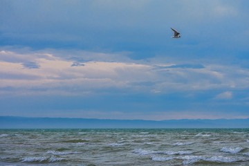 bird flying over surface of green sea waves with mountains on background
