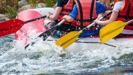 Rafting. Close-up view of oars with splashing water. - obrazy, fototapety, plakaty
