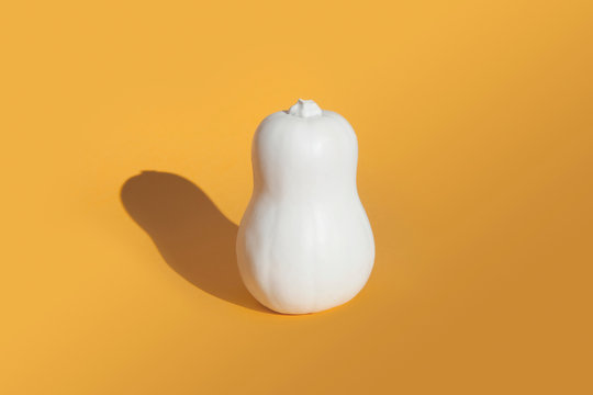 Butternut squash painted white on orange background
