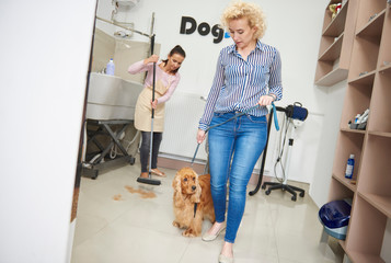 Woman with pet cocker spaniel leaving dog grooming salon