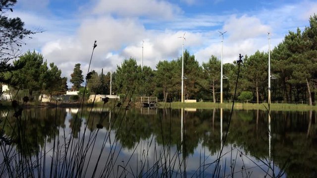 Scenic view of Bucaquinho Natural Park, Ovar, north of Portugal.
