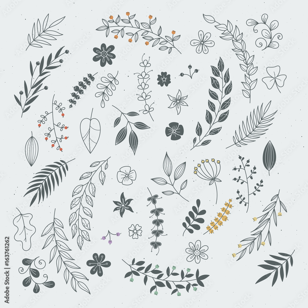 Canvas Prints rustic hand drawn ornaments with branches and leaves. vector floral frames and borders
