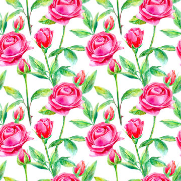 Seamless pattern of a  purple roses.Briar and herbs.Image for fabric, paper and other printing and web projects.Watercolor hand drawn illustration.White background.