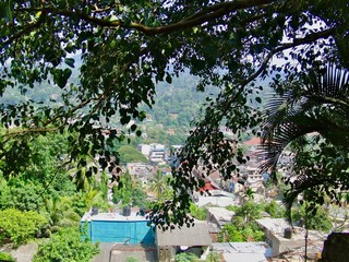 Tropical city of Kandy (Sri Lanka, Asia), UNESCO World Heritage Site & home to the Temple of the Tooth (Sri Dalada Maligawa): Lush exotic greenery with palm trees & (poor) village with houses & pool 