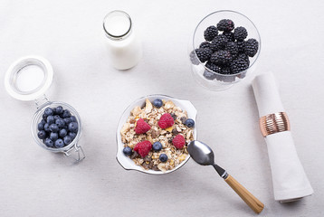 Breakfast cereal with raspberries and blueberries next to bottle of milk and tasty blackberries. Horizontal studio shot.