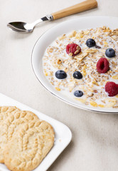 Cereals with milk, raspberries and blueberries next to bowl with cookies. Vertical studio shot.