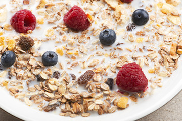 Close-up of cereal with milk, raspberries and blueberries.