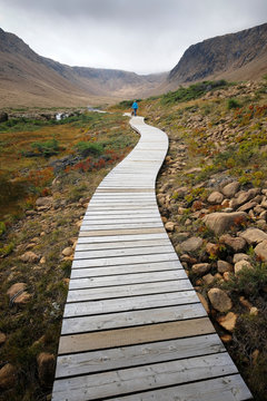 Woman walking dog along valley boardwalk, Gros Morne National Park, Newfoundland, Canada