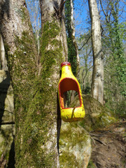 Homemade bird feeder on mossy tree in spring forest