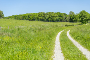 idyllic rural scenery