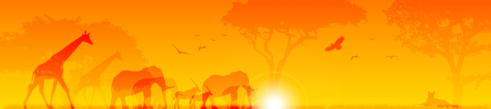 animali, sole, savana