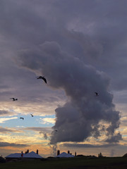 A thick smoke above a chimney and bird flies by